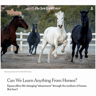 screen shot of New York Times article, featuring an image of horses running